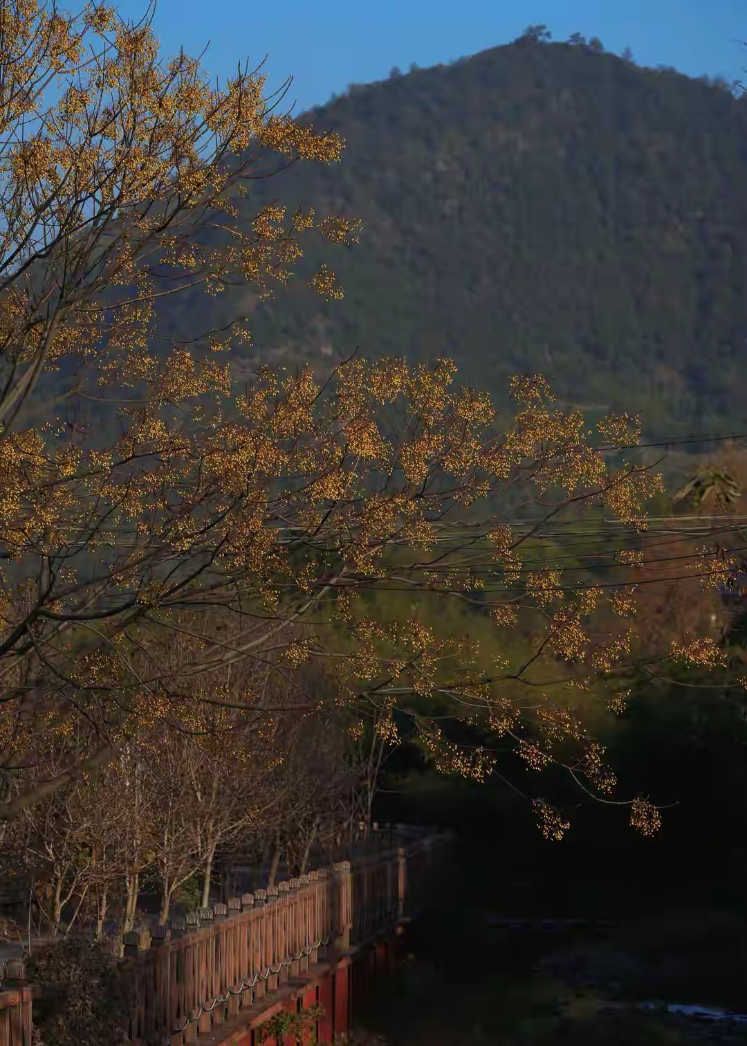 李云霄分享最新美照，简约穿搭配微卷发，美得那么耀眼