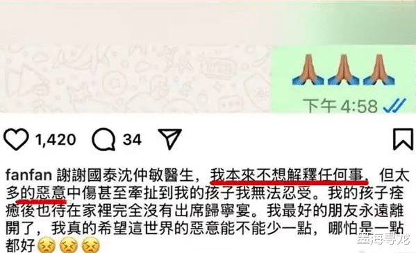 范玮琪演唱会上播大S的MV,遭网友嘲讽“消费死者”