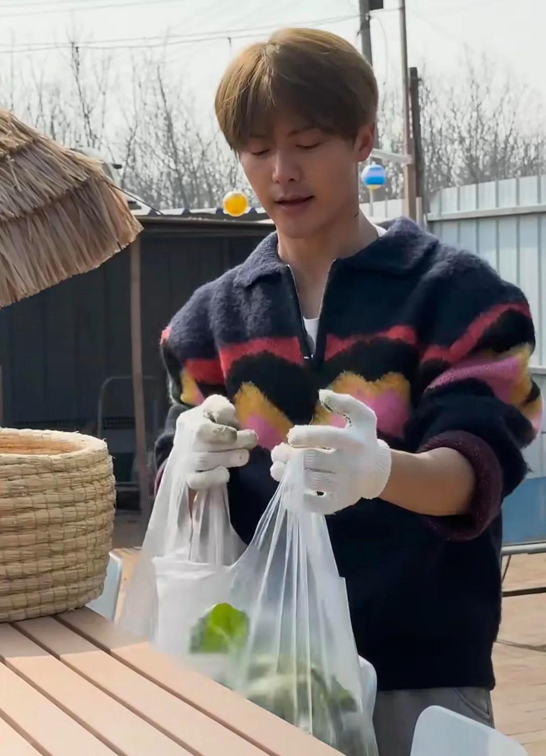 马天宇的院子又火了，仅一菜园、鸡舍就圈粉百万，一看就不是摆拍