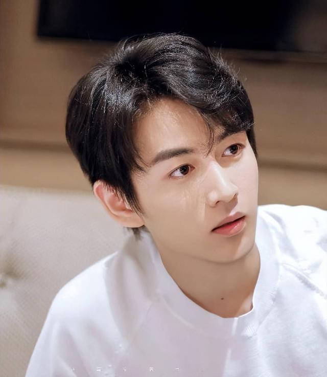 离婚4个月后，再看陈晓现状，才发现他跟陈妍希根本就不是一路人