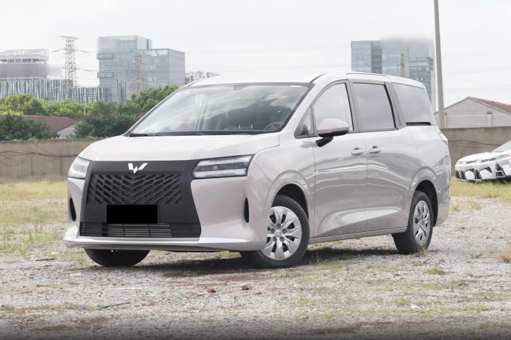 10万不到享七座MPV，尺寸比肩奥德赛，满状态能跑1100km