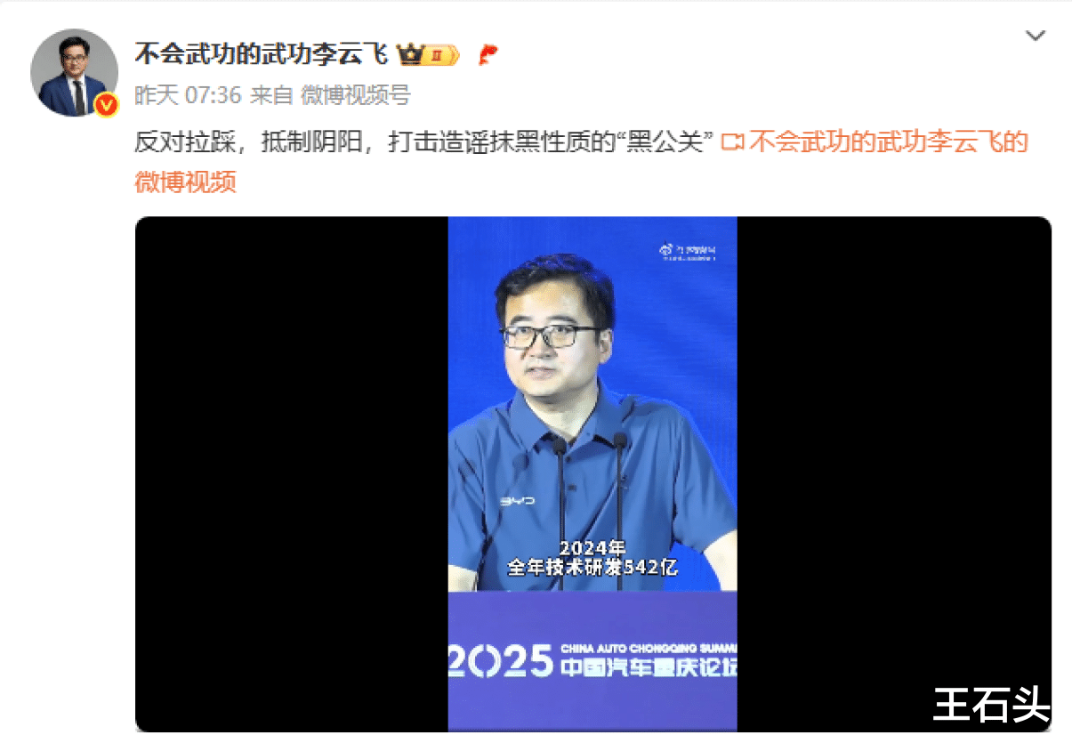 同行们想要比亚迪倒下，但王传福坚持一条路走到黑！