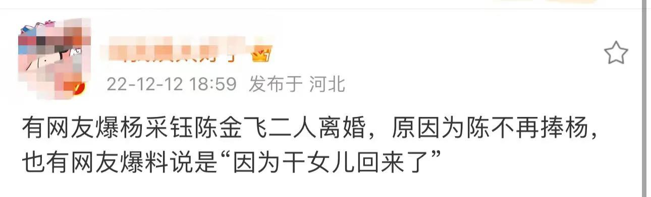 女星杨采钰被挡在豪门外，网传金鹿创始人要去母留子，否则当细姨