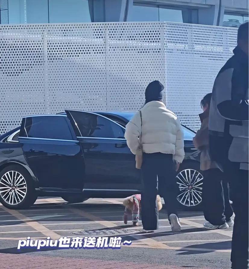 杨紫出发进组拍戏，狗狗前来送别难舍难分，一身休闲穿搭被种草了