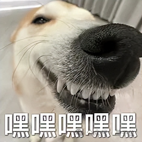 长得这么“乖”的人形机器人,第一次见