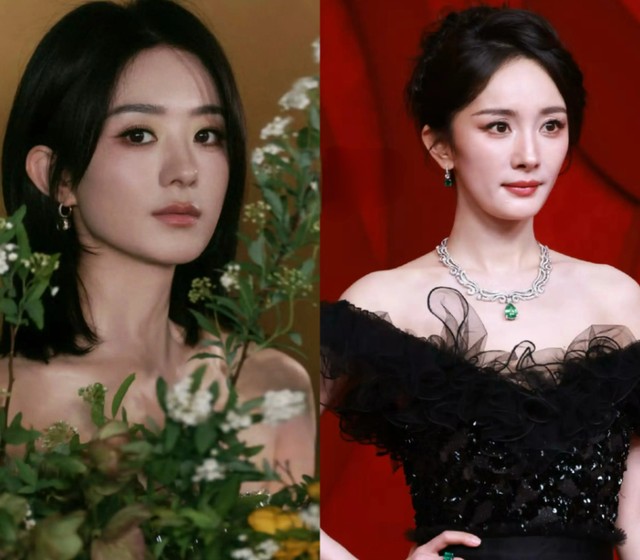 汪海林点评《酱园弄》，“明争暗斗”14年，杨幂赵丽颖胜负已分