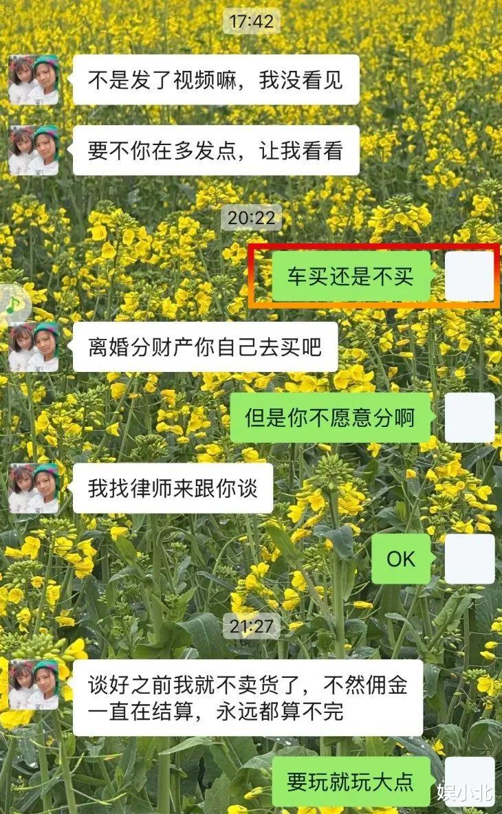 闹离婚后，上拉如彻底黑化，网红小英早该换剧本了