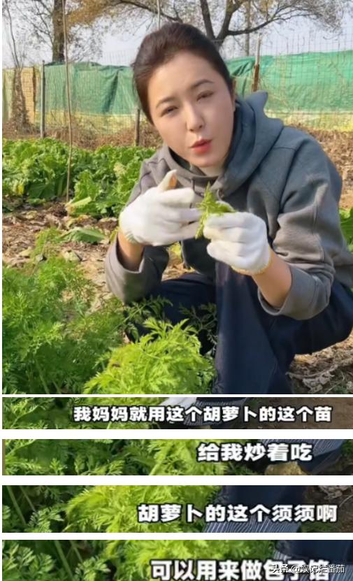 曾黎分不清茴香和胡萝卜苗,买菜带着剪刀,素颜下脸不僵硬但松弛