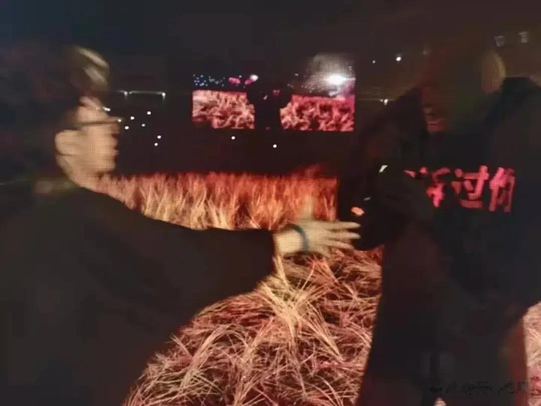 27岁歌手文博在美国出车祸去世!现场照曝光,母亲悲痛发出讣告