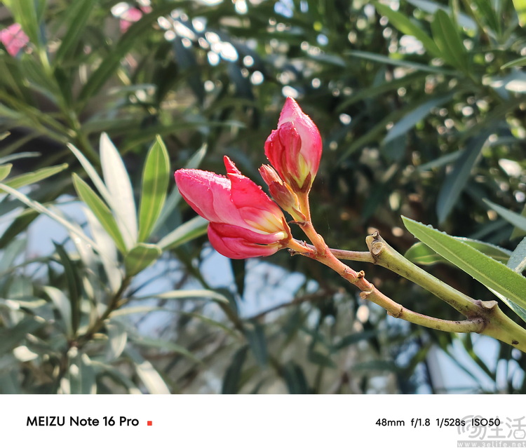 魅族Note16系列雙機實測：外觀豪華的全民手機