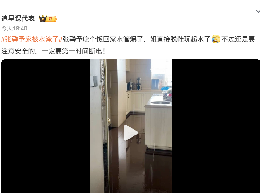 张馨予家被水淹了,想找个人修下水道,网友主动报名