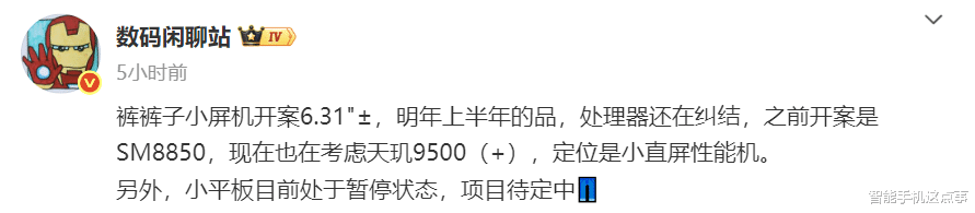 iQOO小屏新機被確認：6.31英寸屏+雙處理器待選，2026迎戰競品