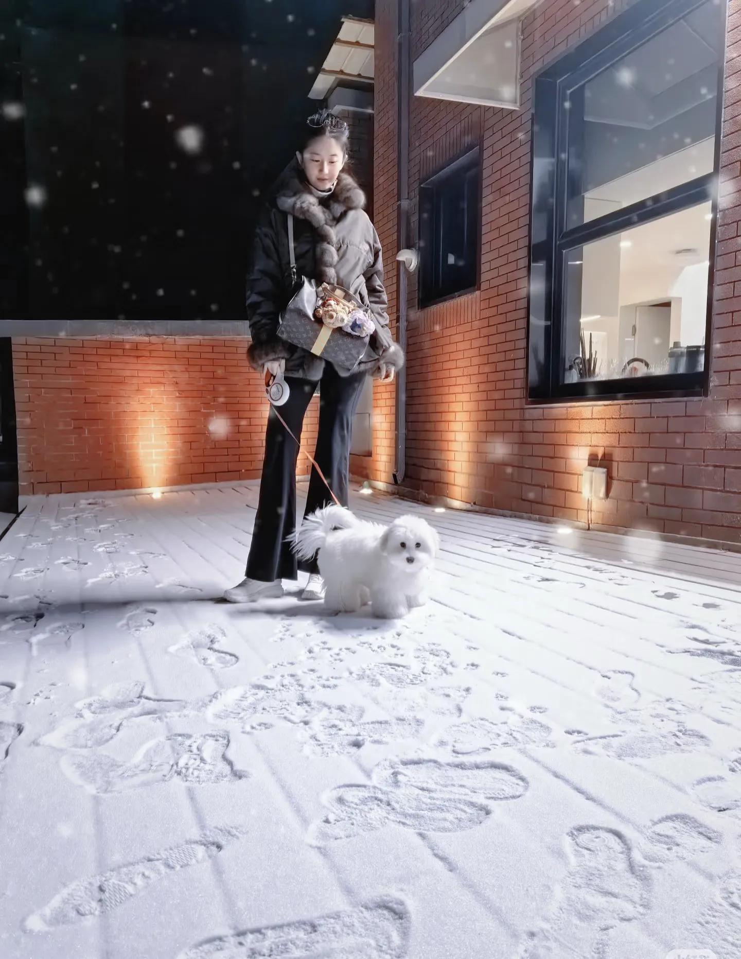 神仙姐姐刘亦菲初雪晒照，12万紫貂外套穿出少女感，美得像18岁