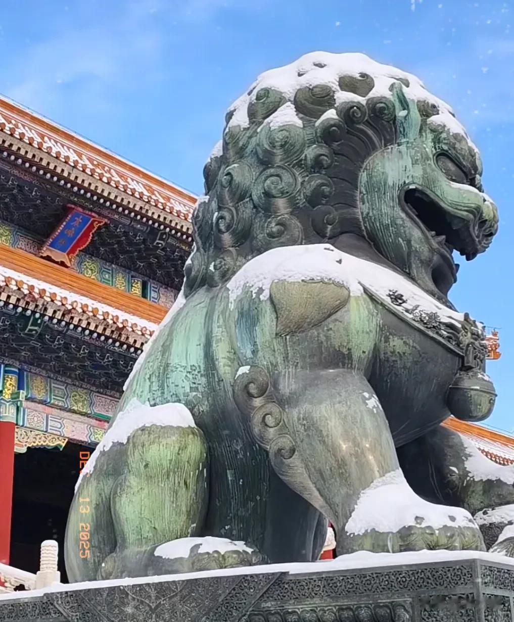 李现故宫拍雪景被偶遇，包裹严实，眼神犀利，网友：像特工！