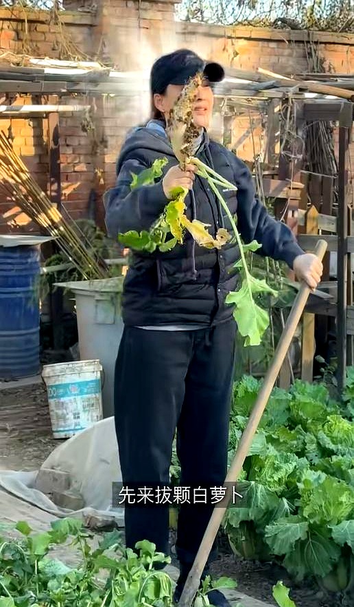 梅婷晒北京2层别墅儿女出镜，对公婆的称呼显客气，公公偏爱孙女