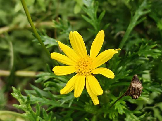 心系天下三星W26評測：折疊屏旗艦的高端典范