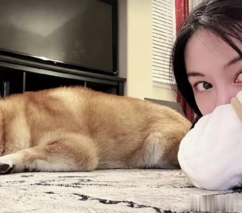 郑爽在美国越混越差！打官司诉讼费都掏不起，前夫张恒比她还沦落