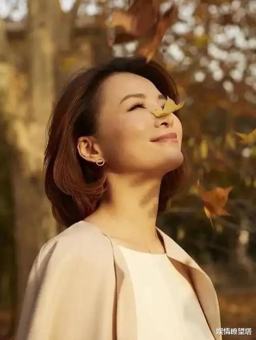 央视换血：董卿归来，新老交替下的时代变奏，未来在哪里？