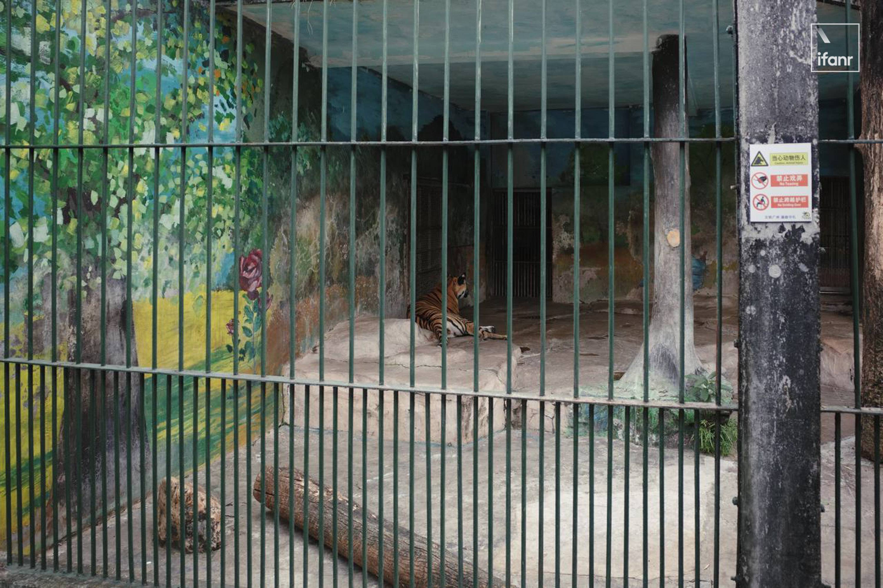 理光 GR4 深度體驗：變了的市場，不變的理光