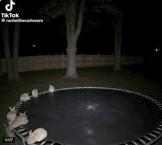 這個5億播放的AI視頻，邪乎得平平無奇