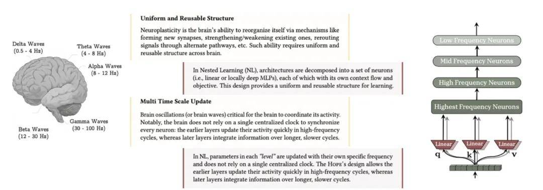 突破LLM遺忘瓶頸，谷歌「嵌套學(xué)習(xí)」讓AI像人腦一樣持續(xù)進(jìn)化