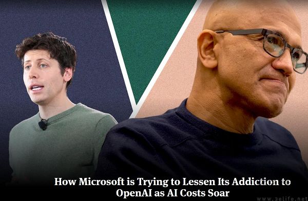 选择携手谷歌,OpenAI和微软的兄弟情谊作古