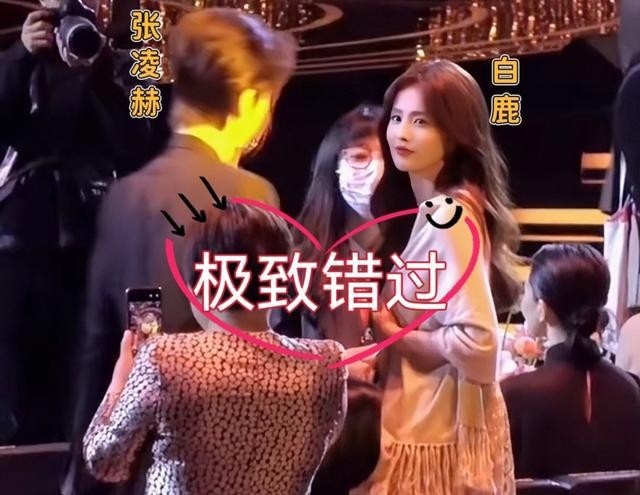尖叫之夜白鹿拍照躺进男星怀里，绯闻男友张凌赫悄悄看白鹿还破防