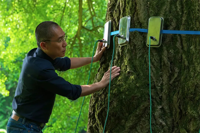8.7分口碑第一！梁朝伟主演的这部年度佳作来了