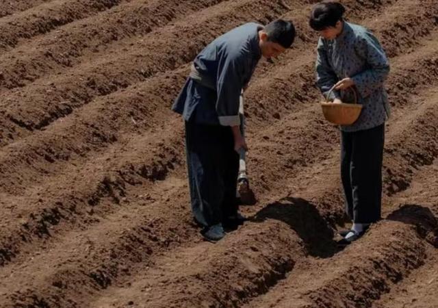 央视发文力挺，这一次39岁的杨幂携手欧豪，让前夫刘恺威望尘莫及