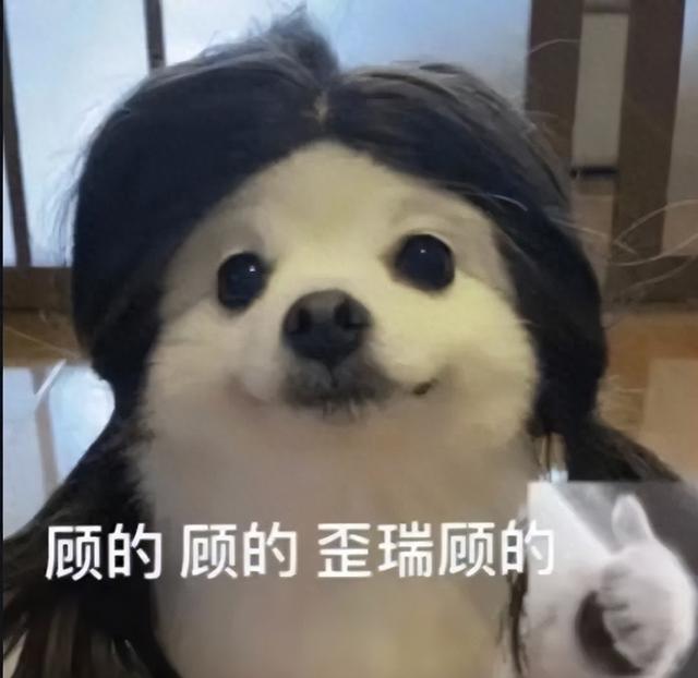 3999？最便宜的蘋果新機，真的要來了