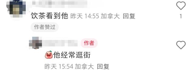 78岁演员高雄加拿大被偶遇,体态挺拔头发真多,演过霍元甲扫地僧