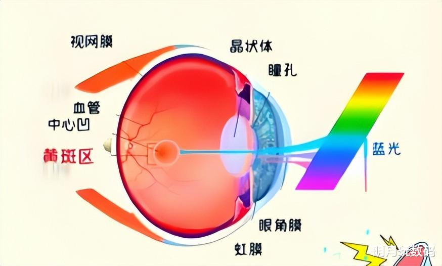兒童護眼燈哪家好用點？精選五大護眼燈品牌推薦，測評公開