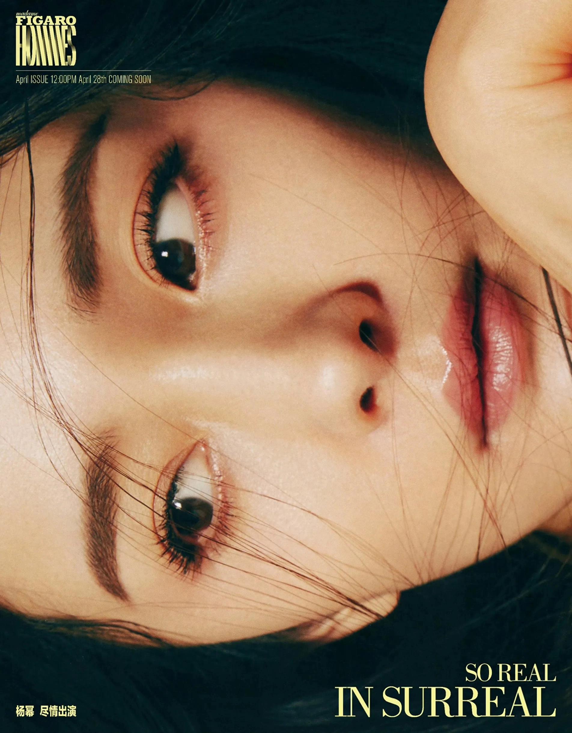 杨幂费加罗写真美图