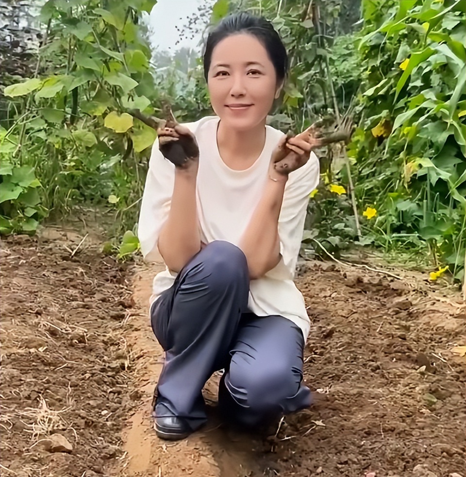 48岁曾黎回老家种地！满脸褶头发花白断崖衰老，徒手摘黄瓜像农妇