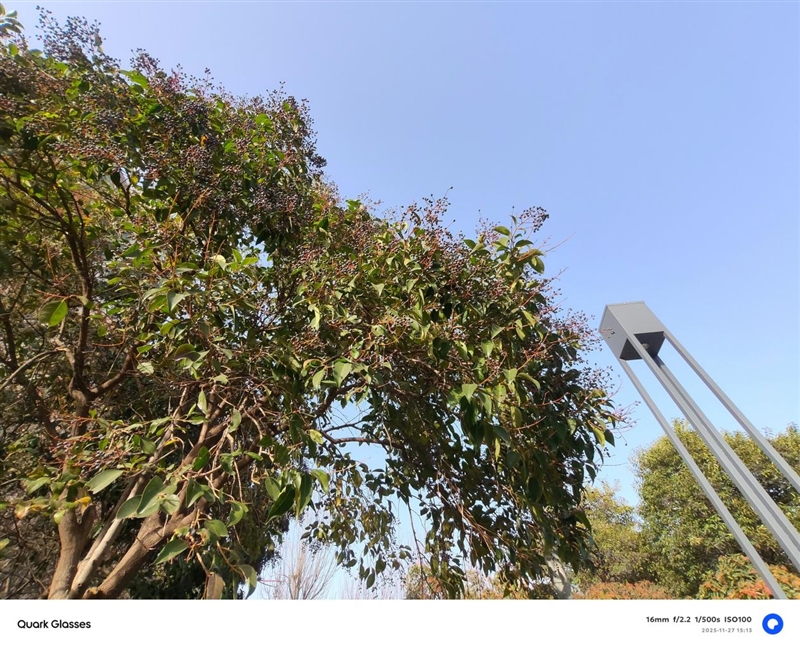 阿里自研夸克AI眼鏡S1首發評測：第一視角拍攝、導航、提詞神器！