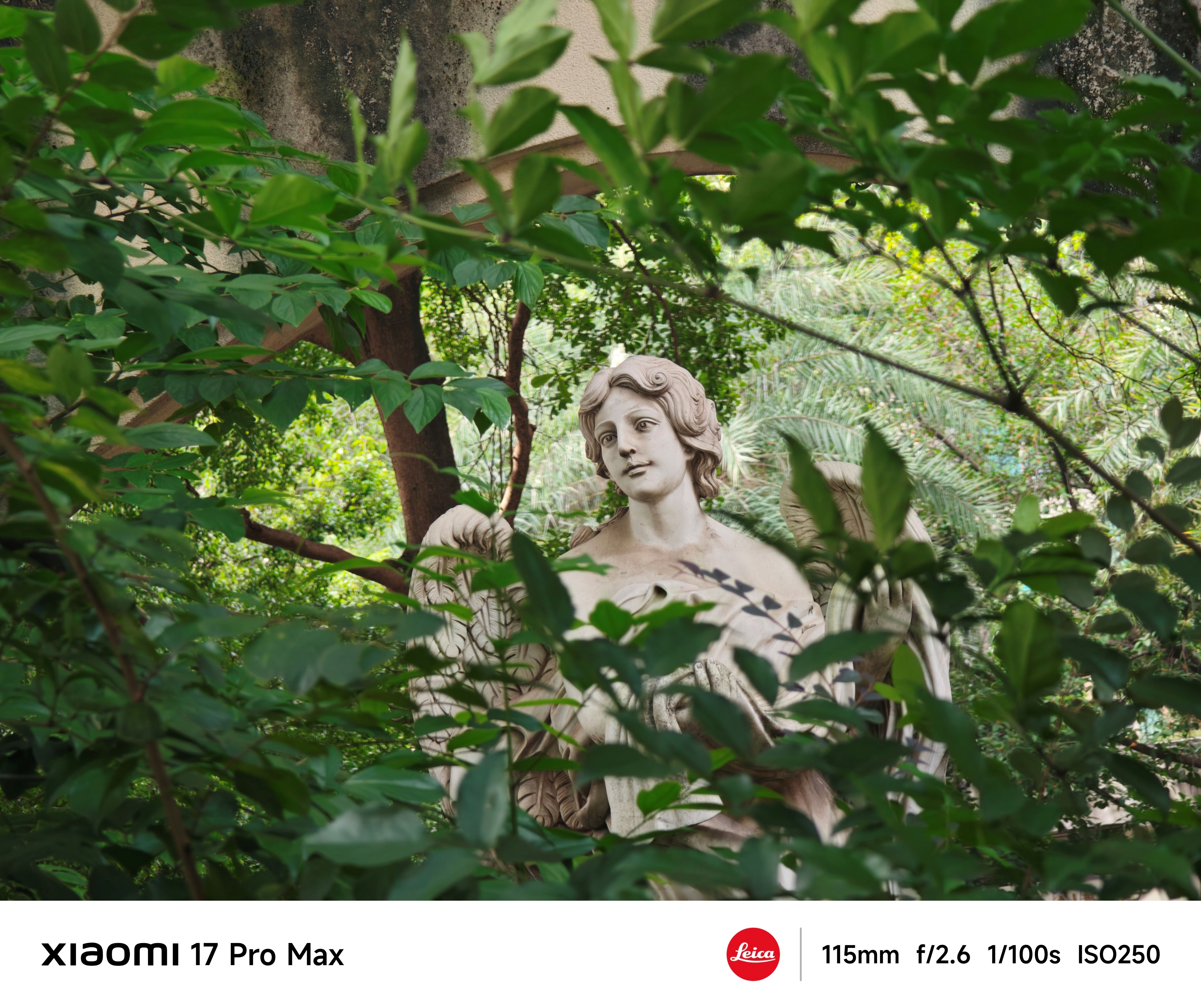 小米17 Pro Max影像實測：拿捏逆光時刻，徠卡與自拍均吸睛