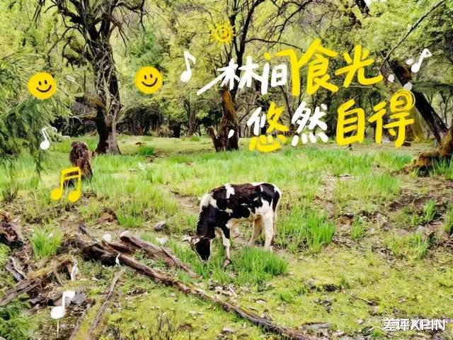 豆包P图大更新，网友们已经玩嗨了