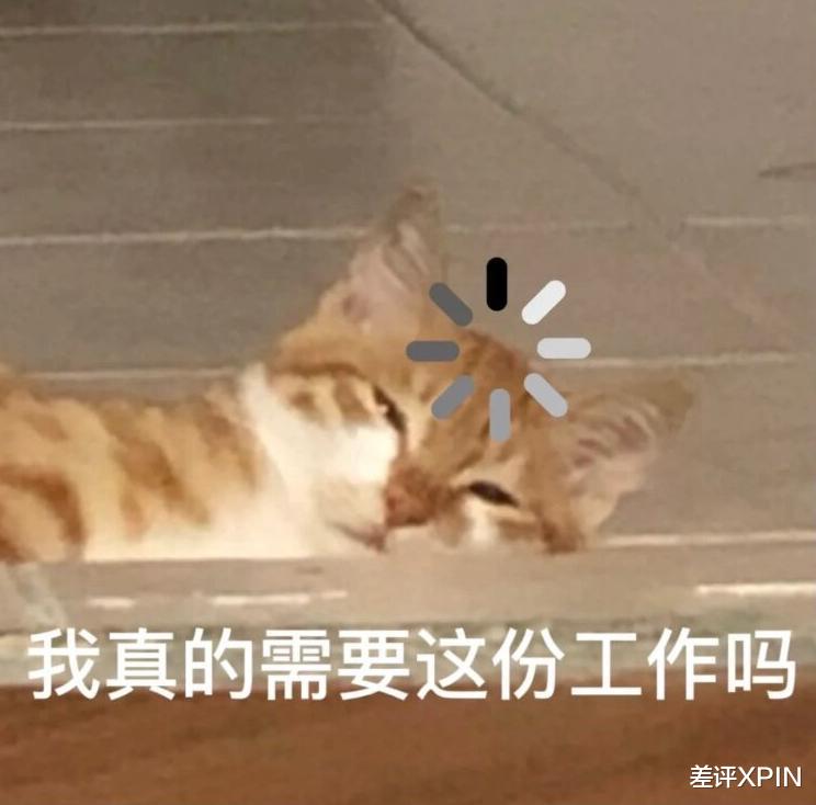 那個逼得我喊“救命”的AI客服，終于活出“人樣”了