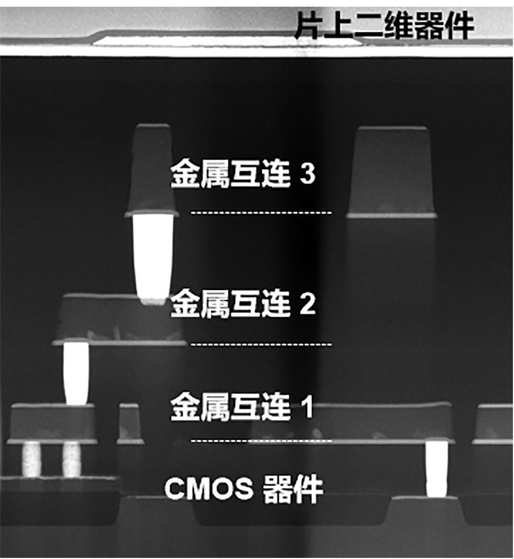 全球首顆，復旦大學創新存儲芯片登Nature，已流片