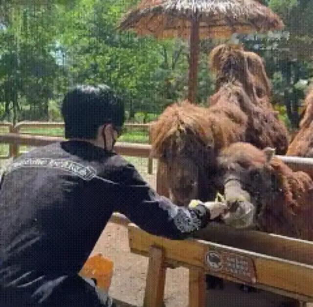 终于懂哥今天为何发文了，原来是搭档重返世一三周年，好有心！