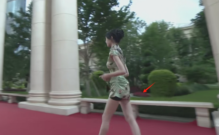 上海这一夜：靳东发福了，段奕宏面相变了，刘诗诗端着刚好