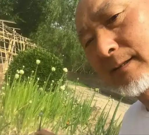 陈佩斯《戏台》票房井喷,让多少资方脸红,黄渤这次又赌对了