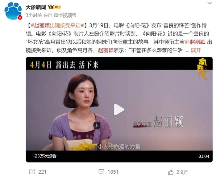赵丽颖杨紫肖战三连爆，內娱热度直线飙升！