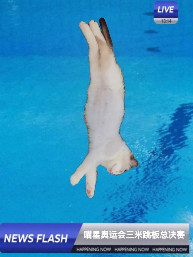 去年买不起的24+1TB顶配，现在价格彻底崩了