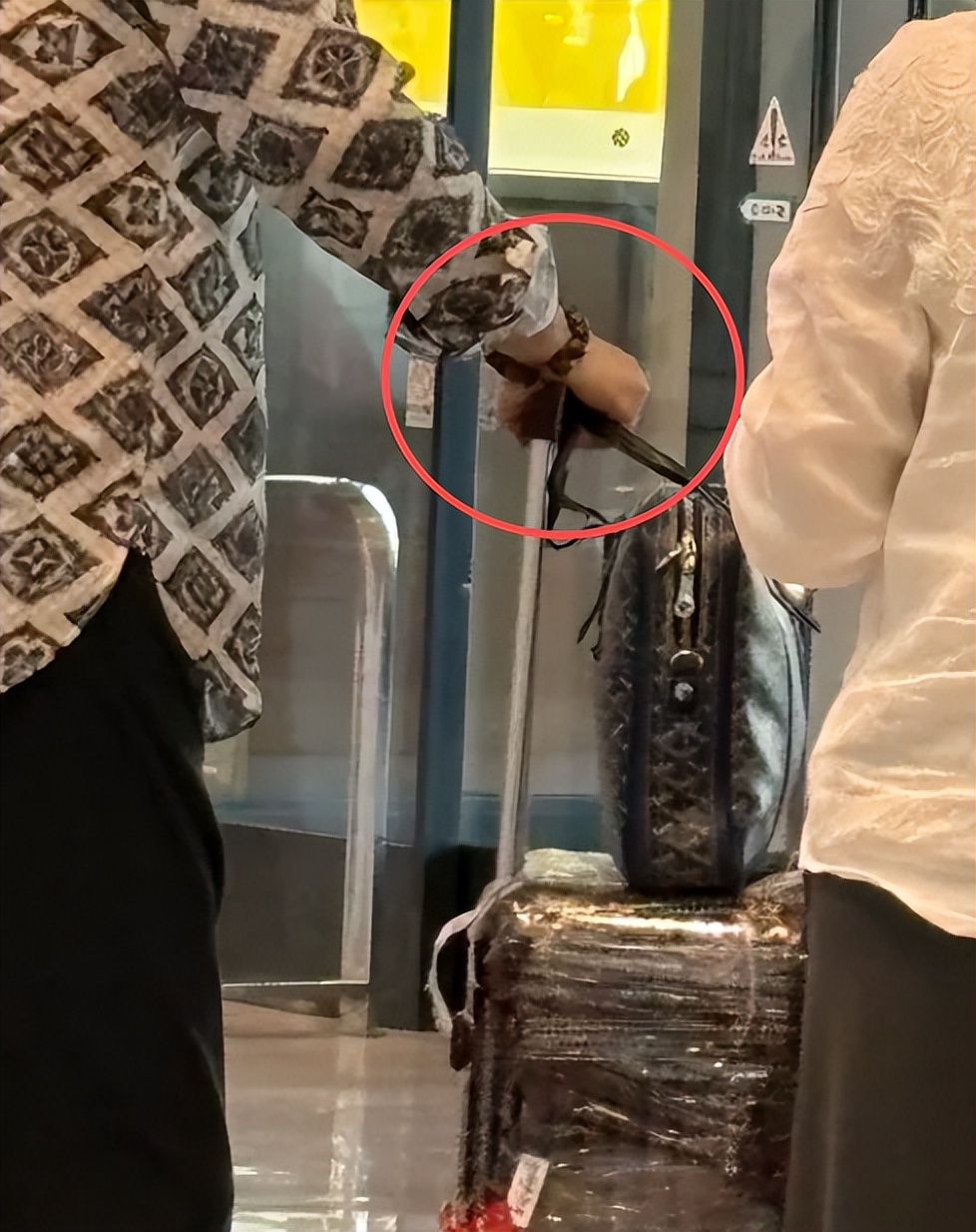 陈凯歌夫妻现身日本，他头秃背驼但很精神，俩人行李多像是要长住