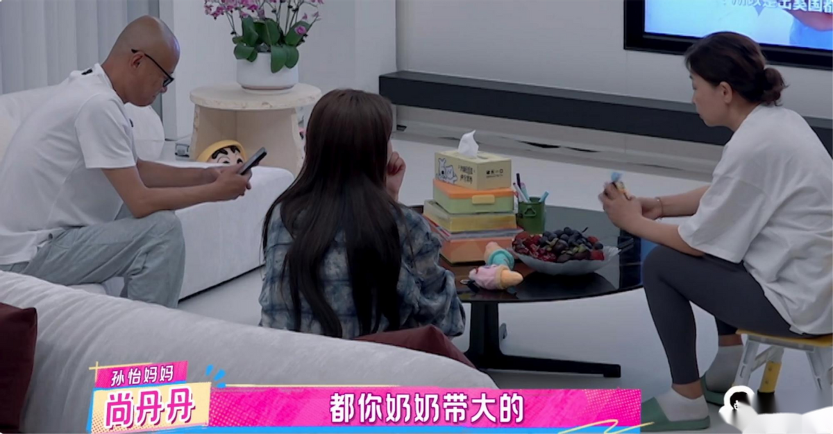 别羡慕北京别墅了,孙怡母女畸形的共生关系,才是真正的“坑”