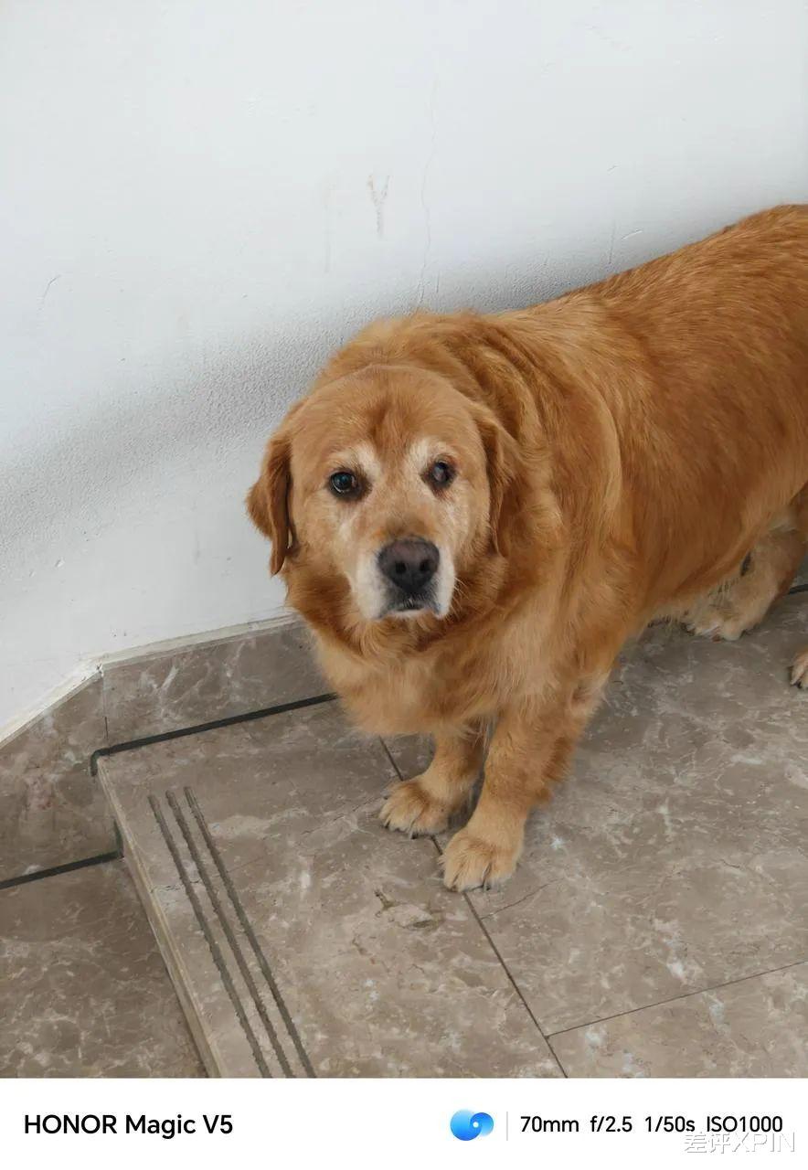 榮耀發布了一臺8999的折疊屏，這次又多了不少小心機