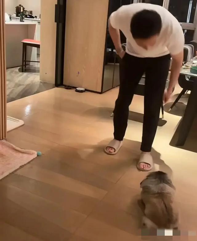 汪小菲直播吃咸肉粽子,表情有点想哭,大S最爱吃粽子!