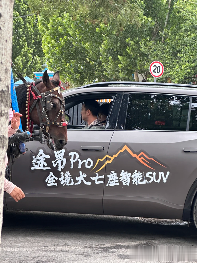 网友在新疆偶遇尼格买提,开京N牌照30万豪车,遭遇堵车眼神犀利