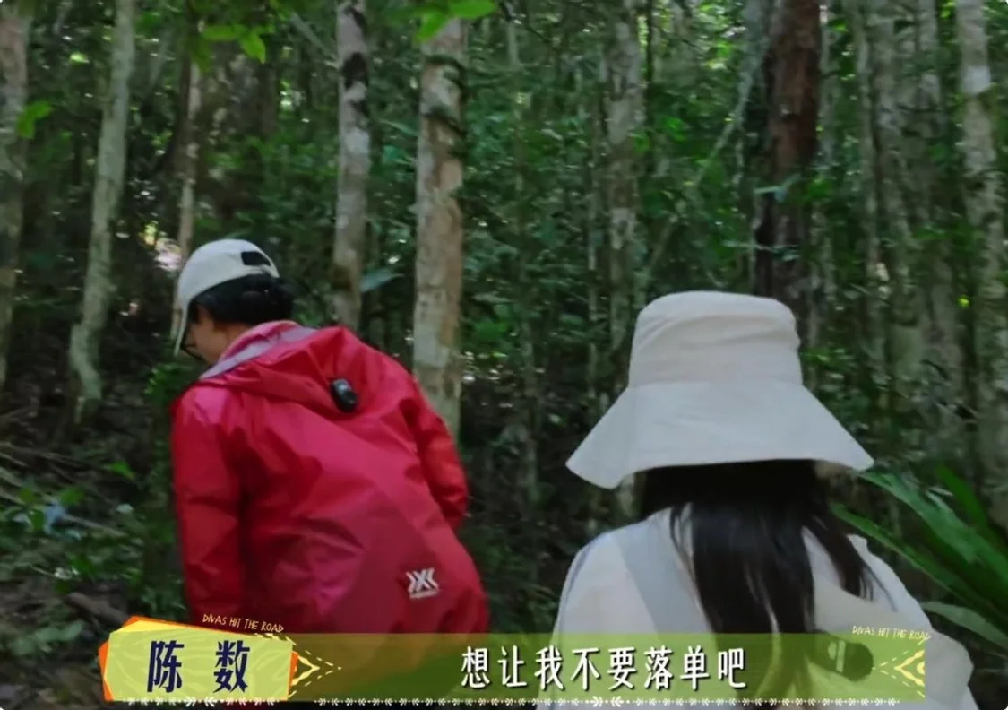 看了陈数的状态,才知道淡妆出镜也可以很优雅